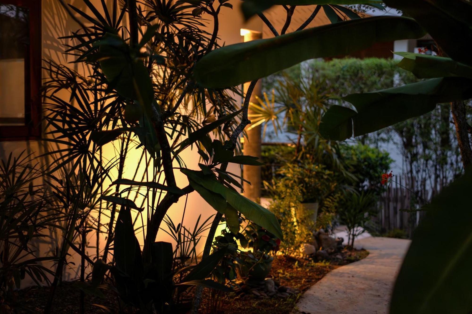 Orchid Lodge Samui - Bed & Breakfast Lamaj-part Szoba fotó